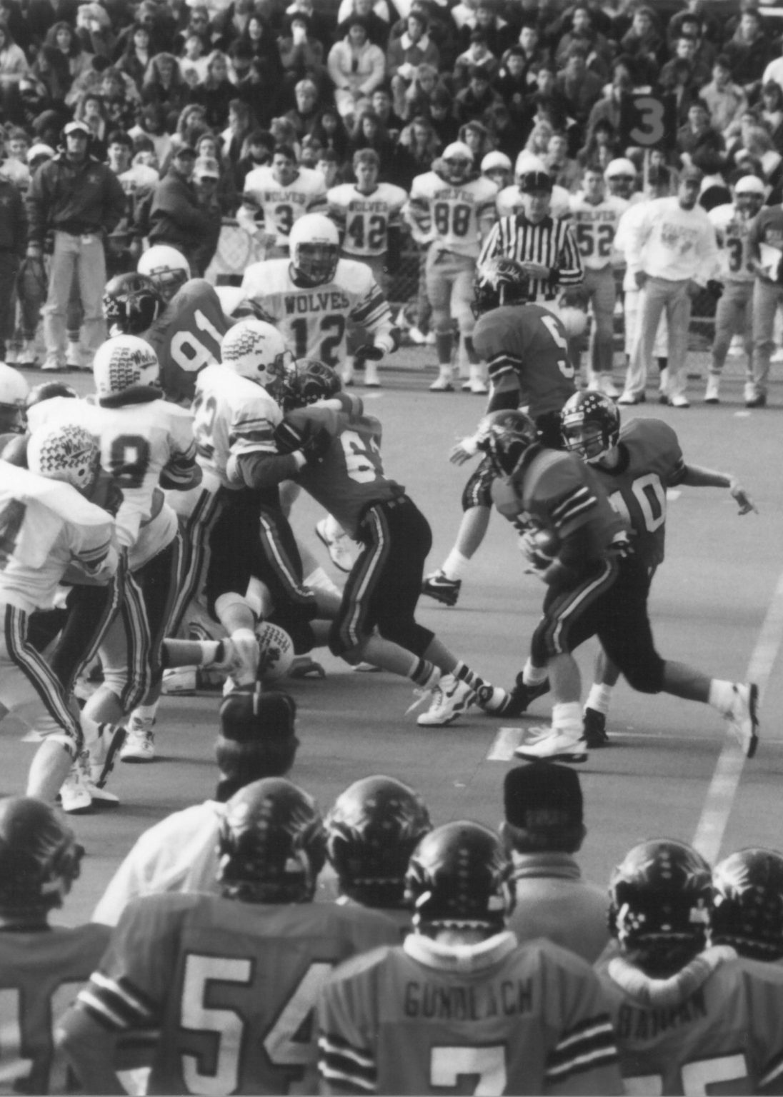 Elk Mound Football 1989 WJ Vincent II Speaker, Author, Success Trainer, Student of Life